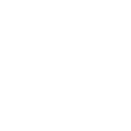 Icono seguridad